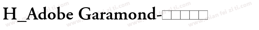 H_Adobe Garamond字体转换